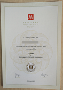 Temasek Polytechnic Singapore diploma