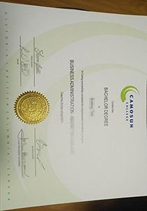 camosun college diploma