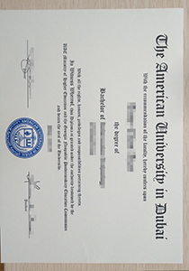 American University in Dubai degree