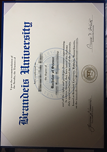 Brandeis University diploma, Brandeis University degree sample