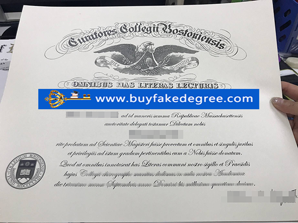 curatores College diploma