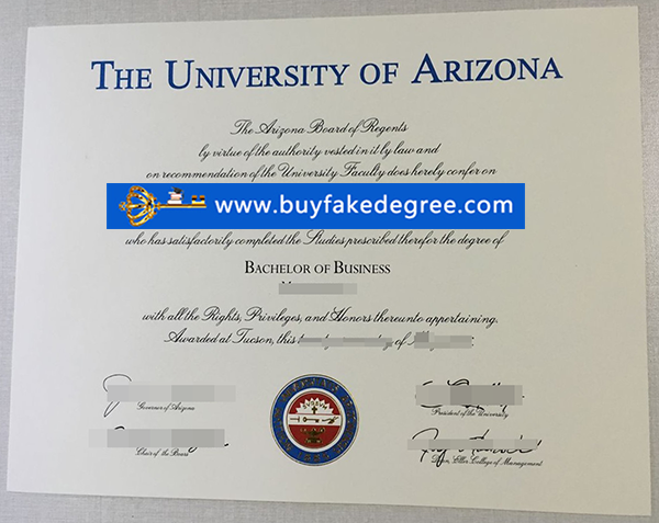 University of Arizona degree