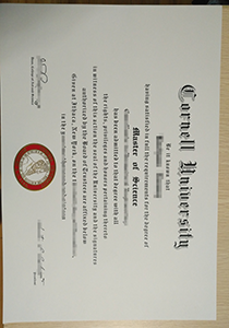 Cornell University degree