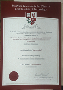 CIT degree buy fake CIT degree certificate