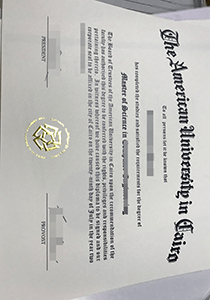 American University in Cairo diploma, fake AUC degree, fake American University in Cairo diploma