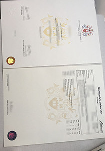 Northumbia University at Newcastle diploma transcript
