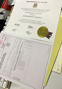 University of Calgary diploma and transcript, buy fake University of Calgary diploma and transcript, fake University of Calgary degree and transcript
