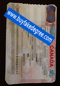 Canada ID, fake Canada ID, buy fake ID