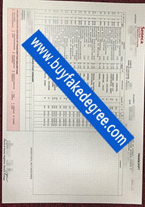 Seneca College transcript, fake Seneca College transcript, buy fake Seneca College