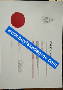 York University degree, buy fake York University degree, fake York University diploma