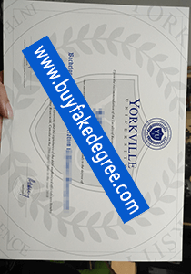 Yorkville University diploma, buy fake Yorkville University diploma