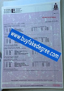 York University transcript, fake York University transcriptm buy fake transcript of York University
