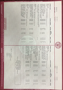 Cornell University transcript, fake Cornell University transcript, buy fake Cornell University transcript