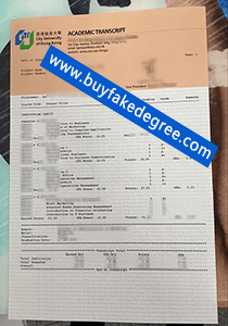 CUHK transcript sample