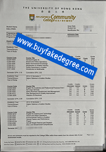 HKUSPACE transcript, fake transcript of HKUSPACE