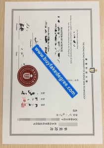 HKUST diploma