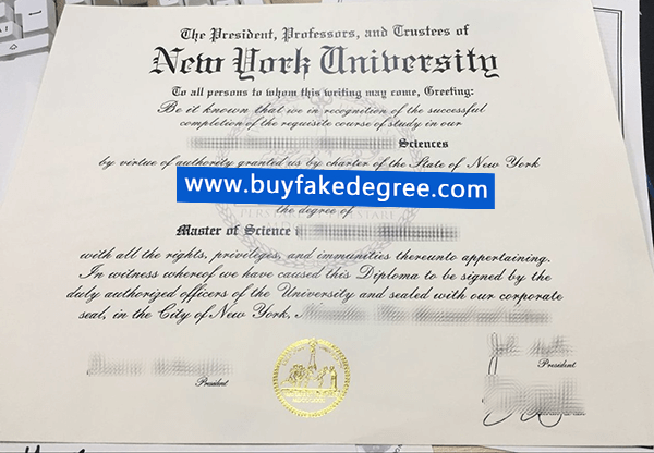 New York University degree
