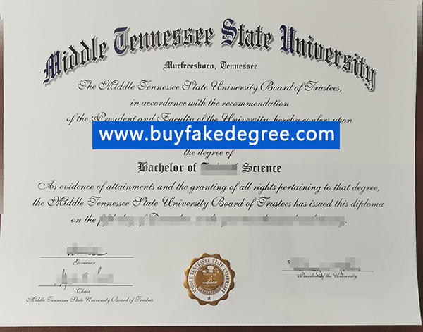 Middle Tennessee State University degree