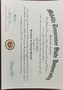 Middle Tennessee State University diploma