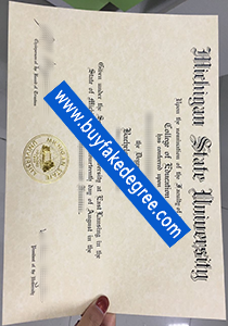 Michigan State University degree