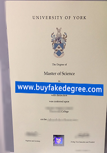 University of York diploma