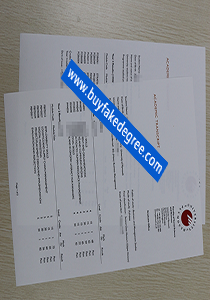 University of Plymouth transcript