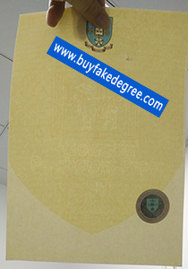 University of Sheffiled diploma