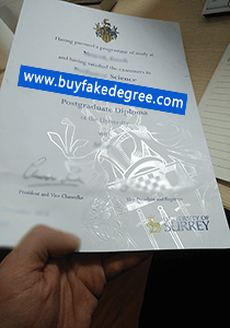 University of Surrey diploma