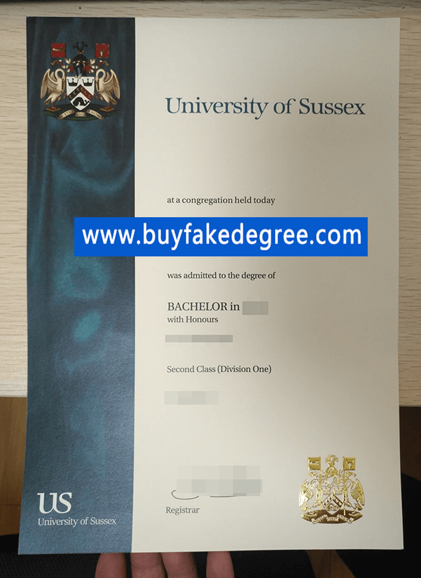 University of Sussex diploma