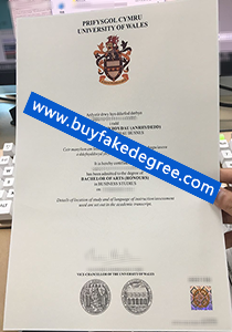 University of Wales degree