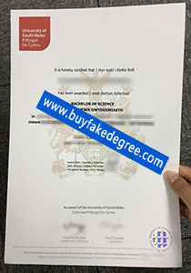 University of south wales degree