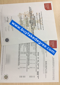 University of south wales diploma transcript
