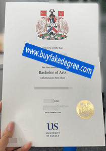 University of Sussex degree