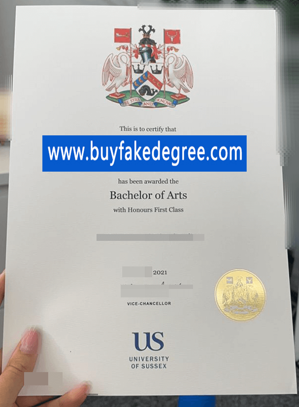 University of Sussex degree