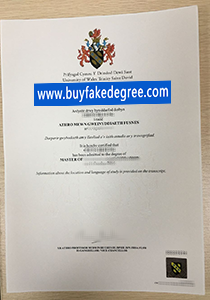 University of Wales diploma certificate