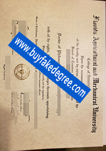 Florida agricultural and mechanical university diploma