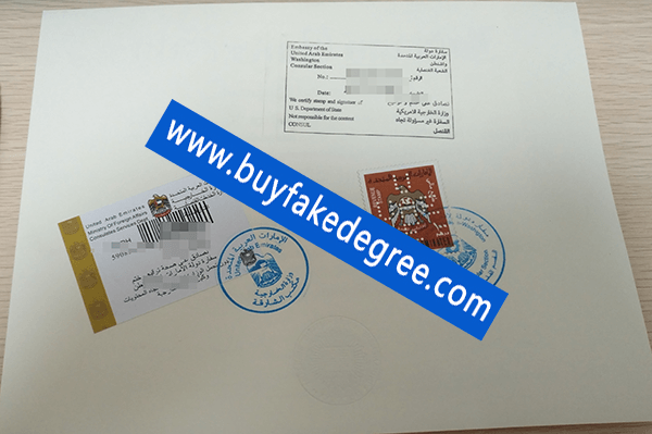 Indiana University degree with notary public certificate