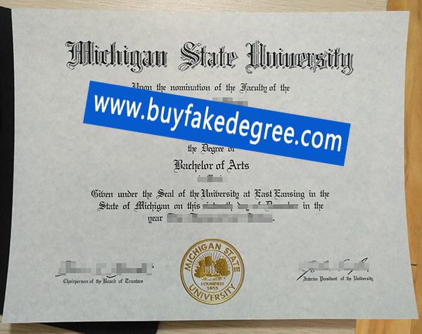Michigan State University diploma