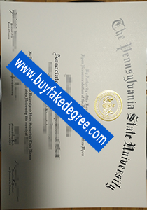 PSU degree sample