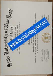 SUNY University at Albany degree buy fake SUNY University at Albany diploma