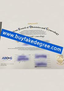 American Board of Obstetrics and Gynecology School Diploma