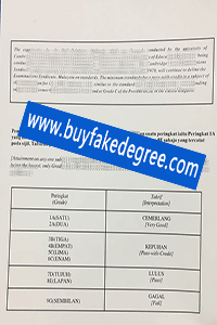 KEMENTEIAN PELAJARAN MALAYSIA ACADEMIC RECORD, KEMENTEIAN PELAJARAN MALAYSIA transcript, buy fake diploma transcript