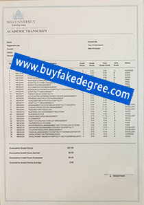 SEGI UNIVERSITY School Academic Record, buy fake SEGi University transcript