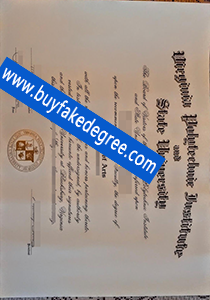 Viginia Polytechnic Institute and State University diploma
