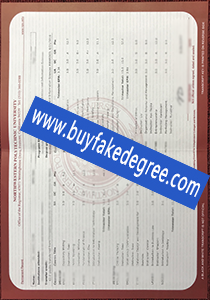 NPU transcript, buy fake diploma transcript