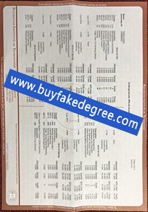 RIT transcript, RIT fake transcript, buy fake transcript, buy fake diploma
