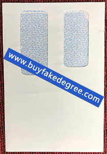 SUNY University at Buffalo envelope, buy fake UB transcript envelope