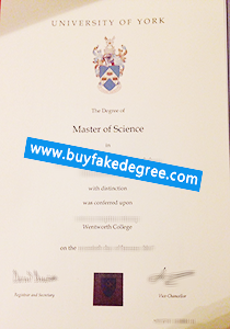 University of York diploma sample