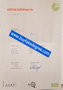 Goethe Zertifikat B1, buy fake Goethe certificate