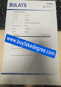 Business Language Testing Service certificate